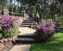 cairns hinterland landscape design 3