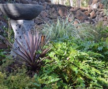 cairns hinterland landscape design 5