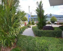 combining formal hedges and tropical plants in cairns commercial garden design