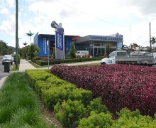 Cairns commercial landscape design