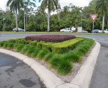 Cairns commercial landscape design project_4