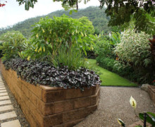 Gordonvale landscape design 5