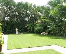 port douglas garden formal lawn